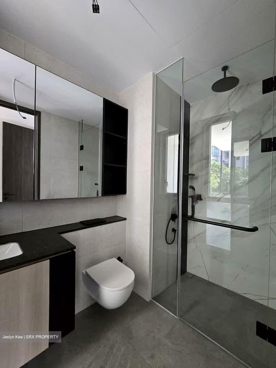 Jervois Mansion (D10), Apartment #530558321